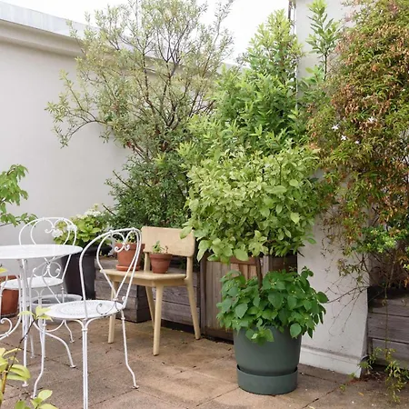 Spacious Duplex With Terrace In * Paris