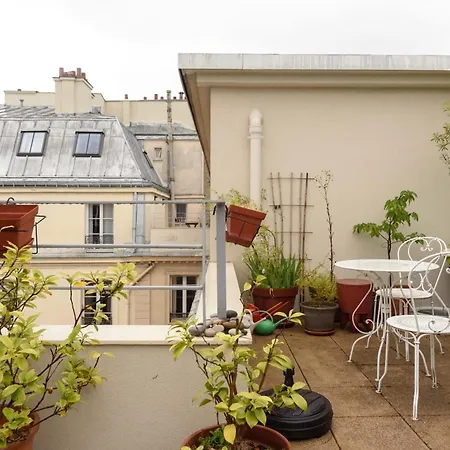 Spacious Duplex With Terrace In Paris